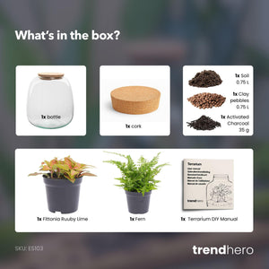 Elysia Mini: Tuin(tje) van Stilte - Planten Terrarium - ↑20cm Ø19cm - Fittona Ruby Lime