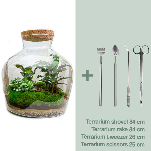 Jiva: Bonsai van Groei - DIY Planten Terrarium met Licht - Ø29cm ↑30cm + 4-delige Toolkit