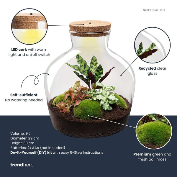 Jiva: Ziel van Groei - DIY Planten Terrarium met Licht - Ø29cm ↑30cm