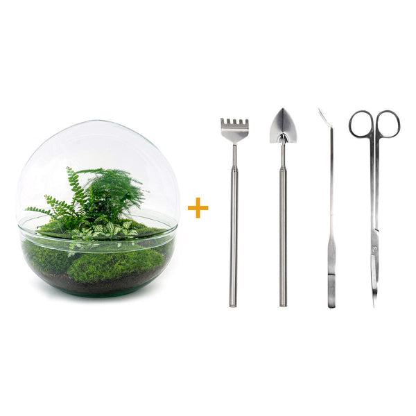 Dharma: Bonsai van Balans - DIY Planten Terrarium Tweedelig Bolglas -Ø28cm ↑28cm + 4-delige Toolkit
