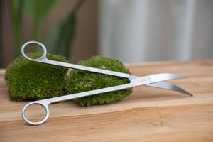 Terrarium Schaar RVS – Extra Lang met Gebogen Bladen