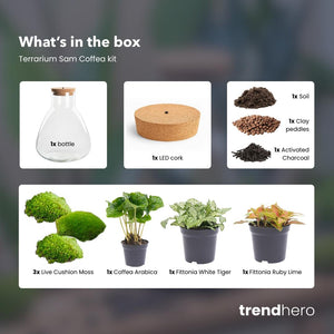 Satori: Bonsai van Ontwaking - DIY Planten Terrarium met Licht - Ø24,5cm ↑30cm