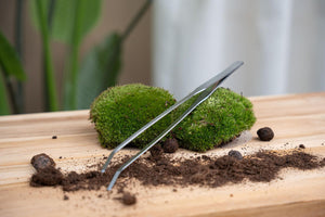 Terrarium Pincet RVS – Lange Plant Pincet voor Terrarium Verzorging