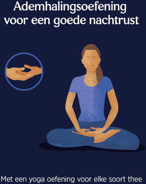 Yogi Tea Bedtime Bio - 3 pakjes