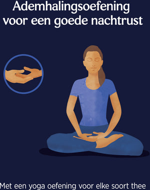 Yogi Tea Bedtime Bio pakje