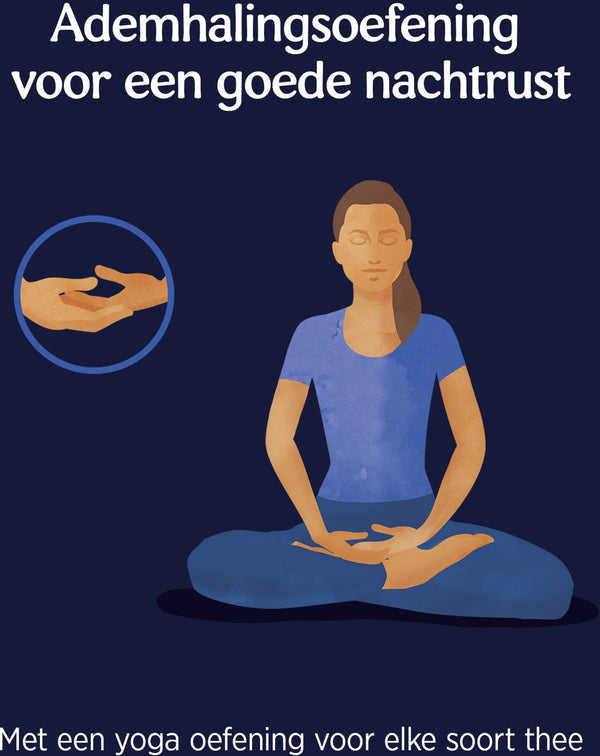 Yogi Tea Bedtime Bio pakje