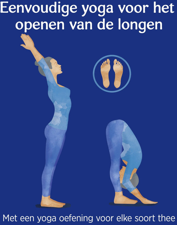 Yogi Tea Breathe Deep Bio - 3 pakjes