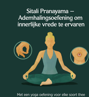 Yogi Tea Calming Bio - 3 pakjes