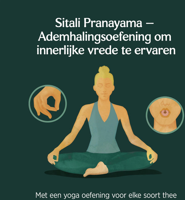 Yogi Tea Calming Bio - 3 pakjes
