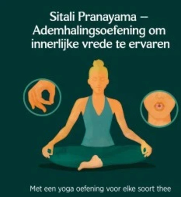 Yogi Tea Calming Bio pakje