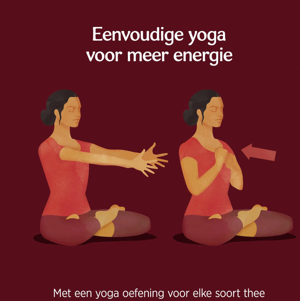 Yogi Tea Classic Bio - 3 pakjes