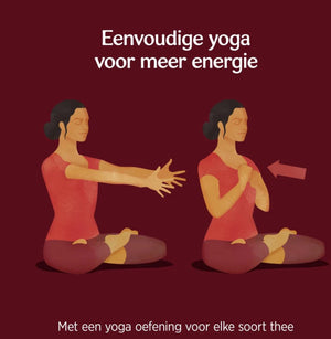Yogi Tea Classic Bio pakje