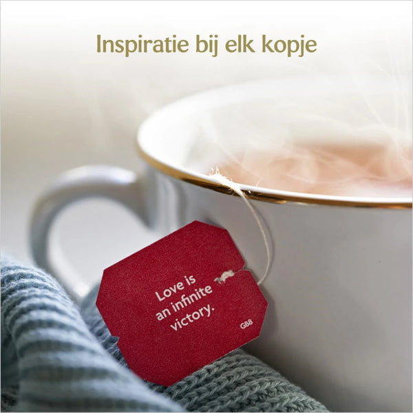 Yogi Tea Classic Bio pakje
