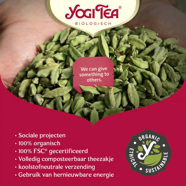Yogi Tea Classic Bio pakje