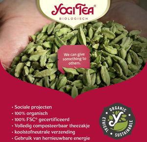 Yogi Tea Curcuma Chai Bio - 3 pakjes