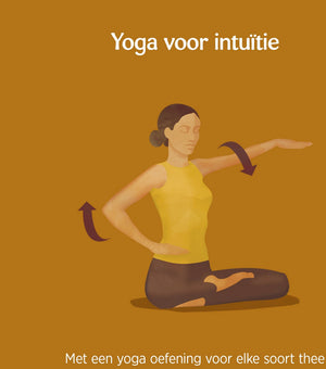 Yogi Tea Curcuma Chai Bio - 3 pakjes