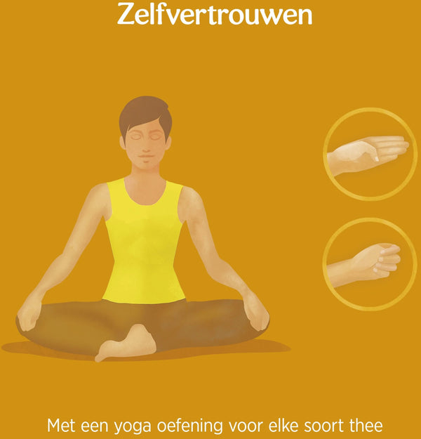 Yogi Tea Ginger Lemon Bio - 3 pakjes