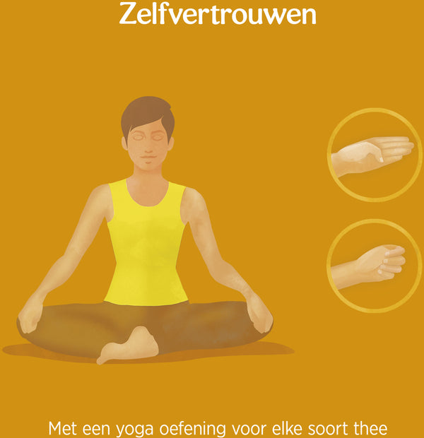 Yogi Tea Ginger Lemon Bio pakje