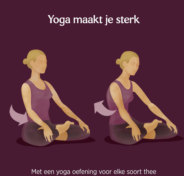 Yogi Tea Sweet Chai Bio - 3 pakjes