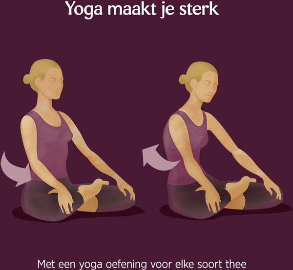 Yogi Tea Sweet Chai - tray: 6 stuks
